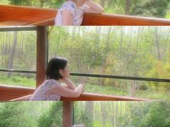 -合肥滨湖国家森林公园