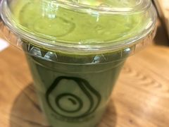 -油梨树 AVOCADO TREE(亮马桥店)