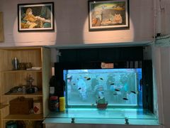 -喵屿·大理花园猫咖