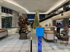 -上海虹桥祥源希尔顿酒店