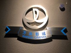 -万达影城(汉街万达广场IMAX店)