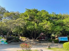 -云洞岩风景区