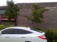 android_upload_pic-苹果树下艺术餐厅(宋庄店)