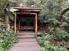 -天目湖山水园
