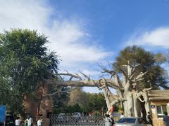 -红山国家森林公园