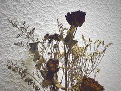 -Cafe on warm(丹霞店)
