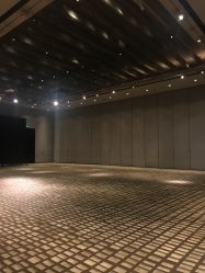 -广州富力君悦大酒店·宴会厅