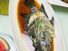 -碧丽宫大酒店(召稼楼店)