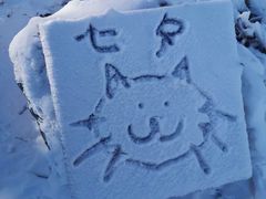 -中旅松花湖滑雪场