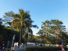 -番禺大夫山森林公园