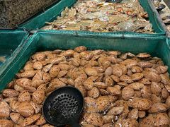 -初色海鲜自助(万丰路店)