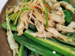 -小叶大馅饺子城