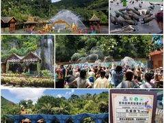 -中国科学院西双版纳热带植物园
