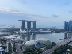 -新加坡瑞士史丹福酒店