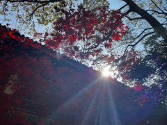 -灵隐飞来峰景区
