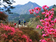 -木兰云雾山