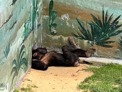 -西霞口神雕山野生动物世界