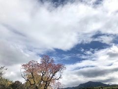 -塔川景区