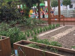 -松江区九亭第四幼儿园