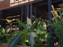 -同仁四季椰子鸡(宝安壹方城店)