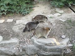 -宁波野生动物园