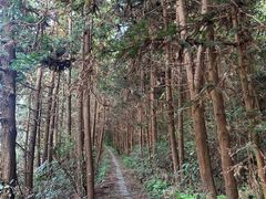 -大罗山风景区