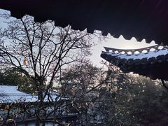 -何园