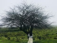 -石棉县孟获城