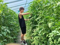 -庞各庄翠芳园西瓜蔬菜基地采摘园