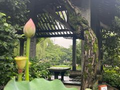 -东山雕花楼