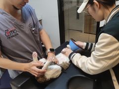 -御宝贝·A梦猫科宠物医院(国际猫友好医院)