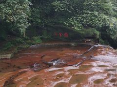 -碧峰峡风景区
