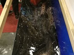 -活鱼馆(宜兴埠店)