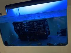 -质烤烤物·活烤海鲜(质烤总店)