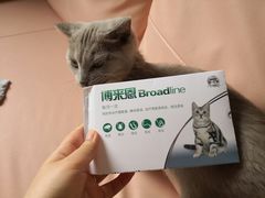 -芭比堂宠物医院·全科爱猫医院·仁德分院