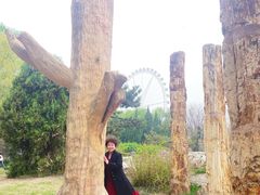 -石家庄市植物园