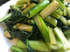 油渣炒菜心-美极鲜食坊(宝安南路店)