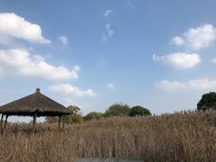 -梁鸿国家湿地公园