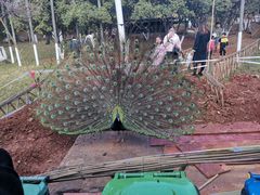 -昆明动物园