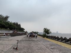 -上海滨江森林公园