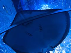 -多彩贵州城极地海洋世界