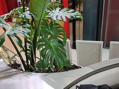 -枕水江南(铁西万象汇店)