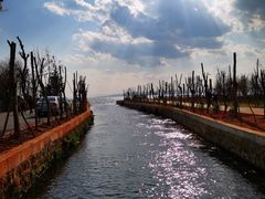 -呈贡滇池生态湿地公园