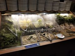 自助餐台-火炉火自助餐(悠唐购物中心店)