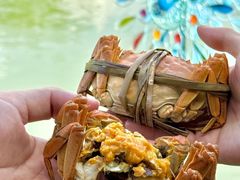 -水岸居湖景农家乐·阳澄湖大闸蟹