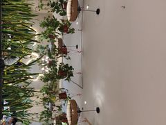 -猫姑娘大盘鸡(商城路店)