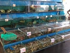 水产区-叶姐海鲜(棋子湾店)