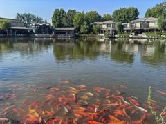 -春晖园度假酒店温泉