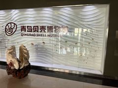 -青岛贝壳博物馆