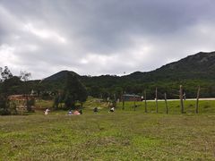 -大姆山草场